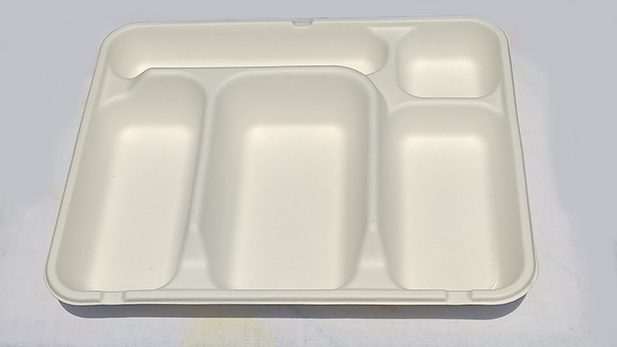 Biodegradable breakfast platters, with 5 compartments