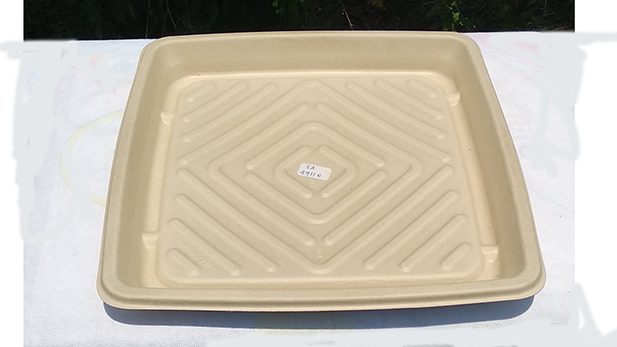Biodegradable breakfast platters