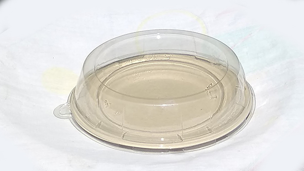 Biodegradable plates with PET lid