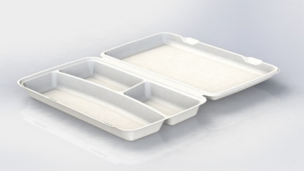 Biodegradable Lunch Menu Box of 3 compartments