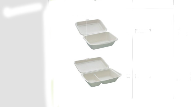 Biodegradable Lunch Boxes, 600 & 1000 ml