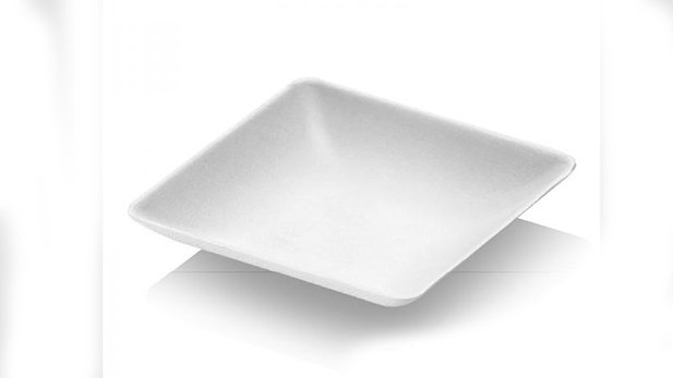 biodegradable and compostable finger food sugar-cane plates