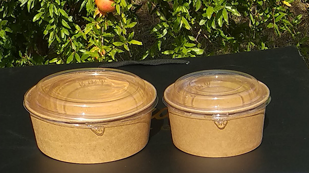 Paper kraft salad bowls. In the same carton with their pet lids