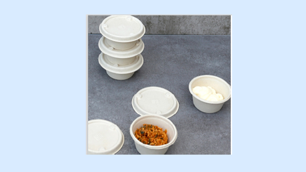 Biodegradable sugar cane containers for sauces