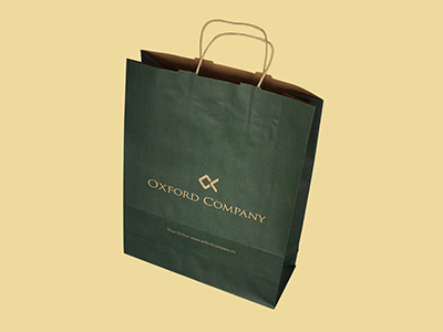 Kraft paper bags with twisted or flat handles